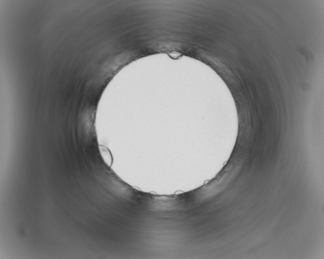 X0000112850240200910021257