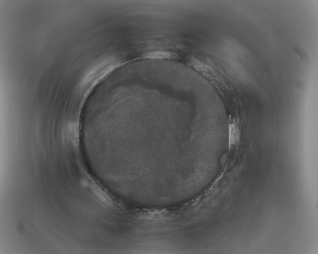 X0000112850243200910021257