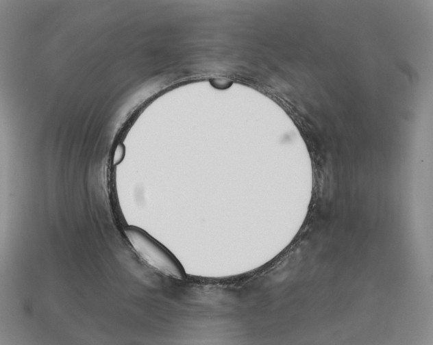 X0000112850244200910021257