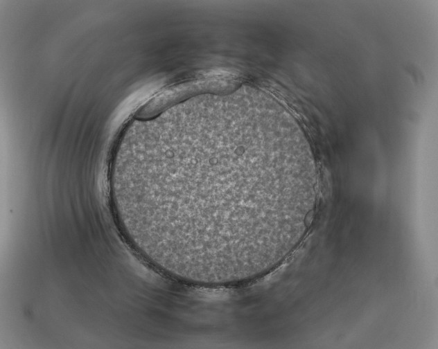 X0000112850245200910021257