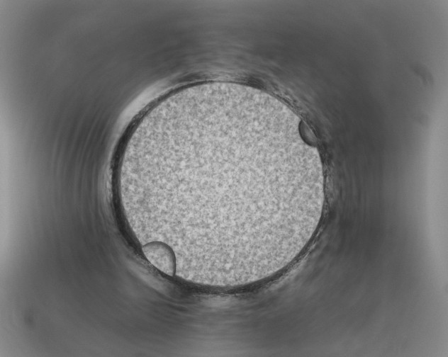 X0000112850246200910021257