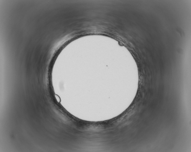 X0000112850248200910021257