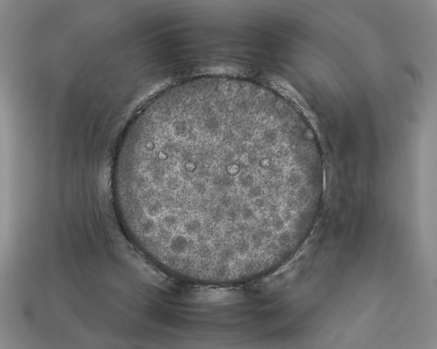 X0000112850249200910021257