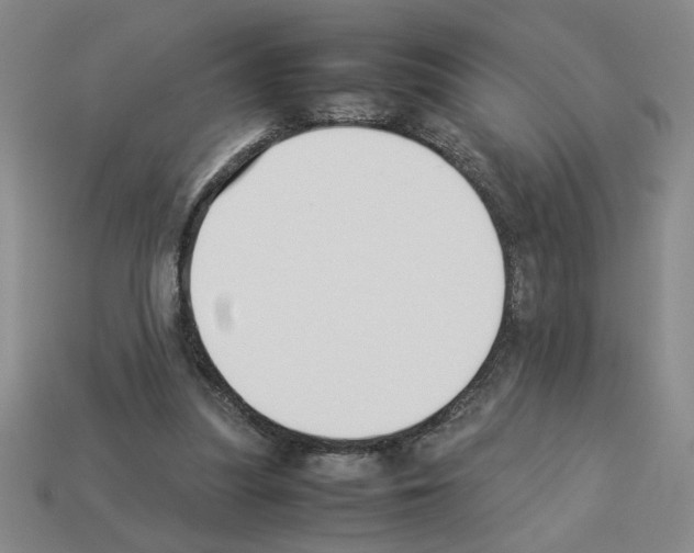 X0000112850251200910021257