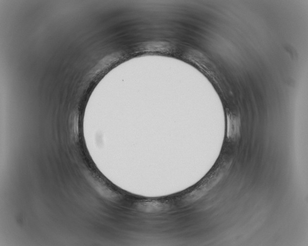 X0000112850253200910021257