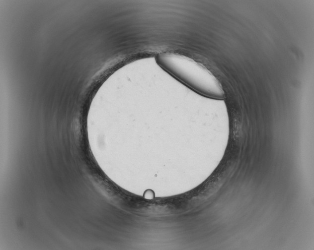 X0000112850256200910021257