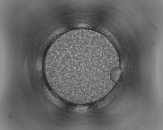 X0000112850257200910021257