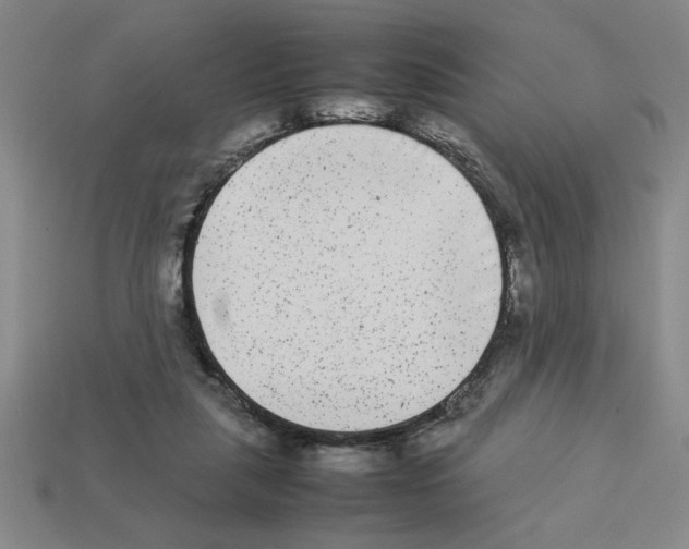 X0000112850259200910021257