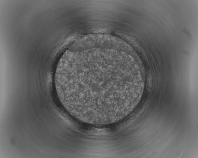 X0000112850260200910021257