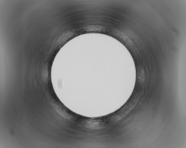 X0000112850261200910021257