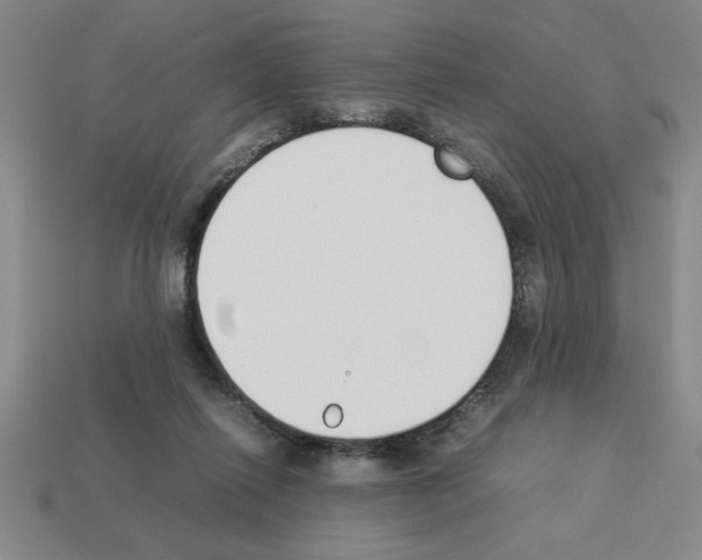 X0000112850262200910021257