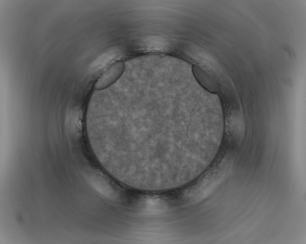 X0000112850264200910021257