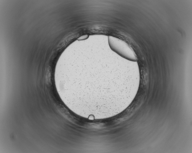 X0000112850266200910021257