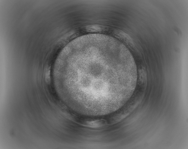 X0000112850267200910021257