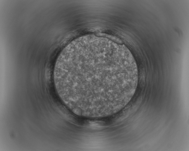 X0000112850268200910021257