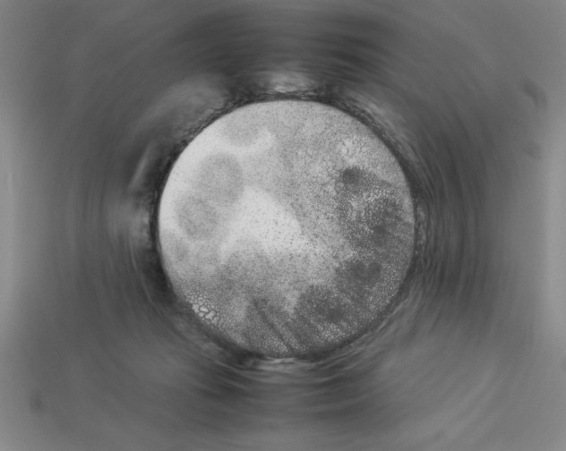 X0000112850269200910021257