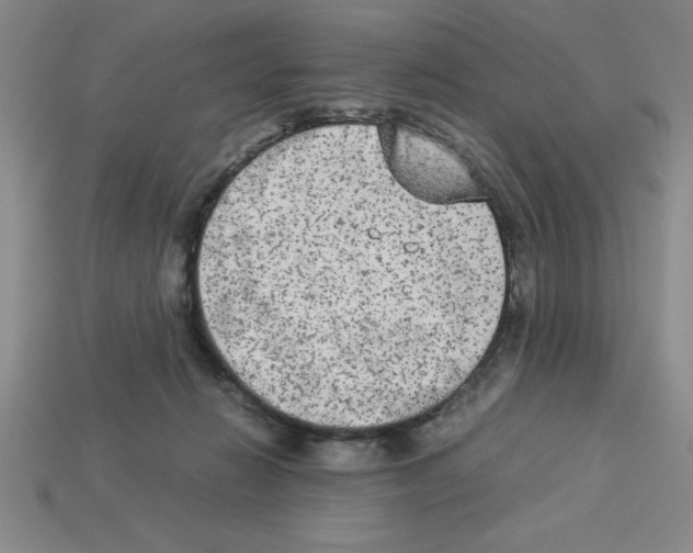 X0000112850270200910021257