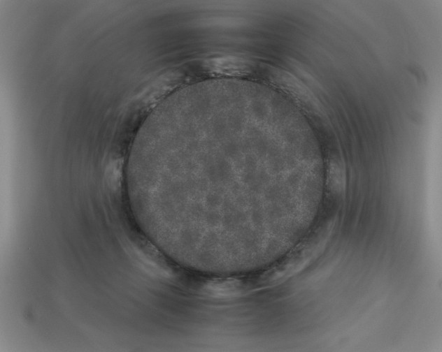 X0000112850271200910021257