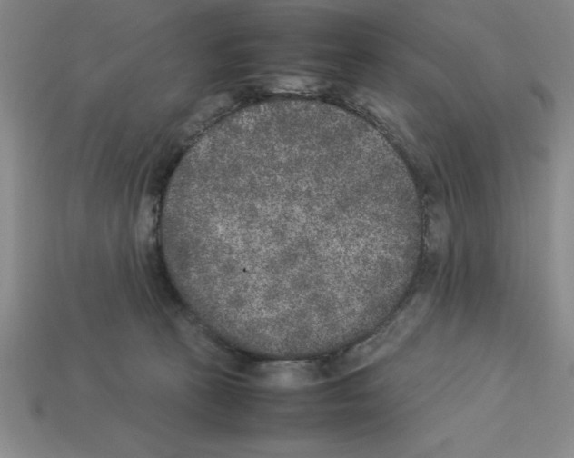 X0000112850273200910021257