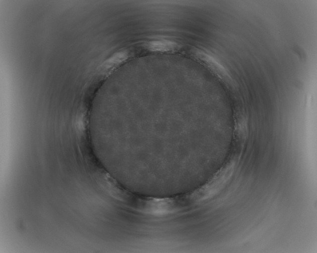 X0000112850277200910021257