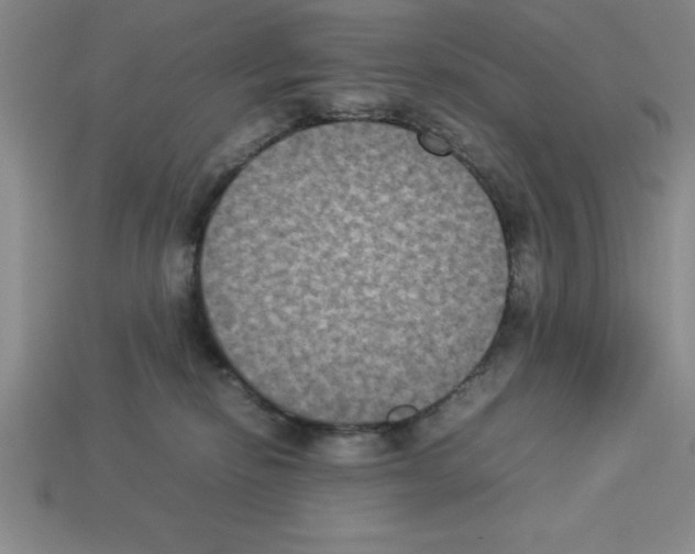 X0000112850278200910021257