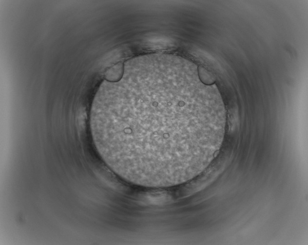 X0000112850279200910021257