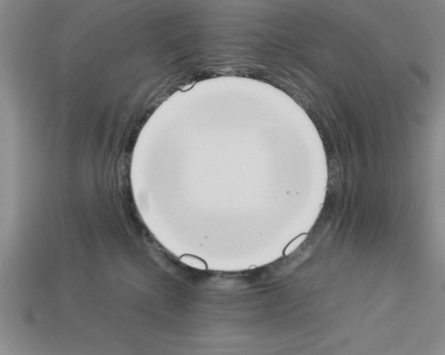 X0000112850280200910021257