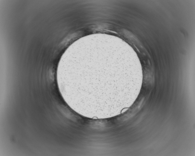 X0000112850282200910021257