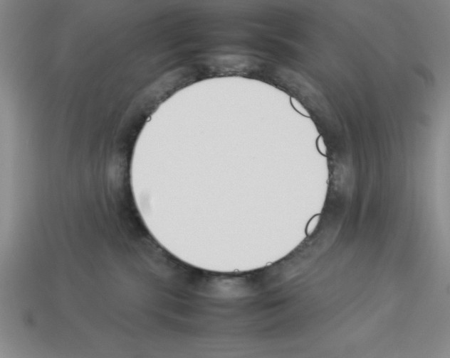 X0000112850283200910021257