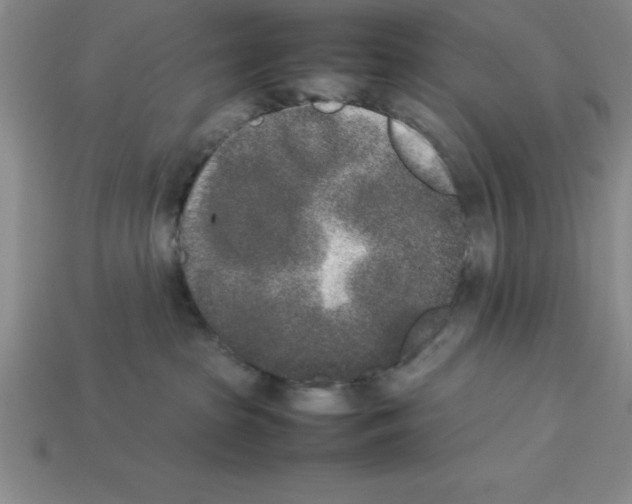 X0000112850285200910021257