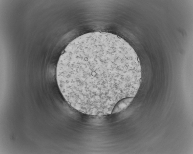 X0000112850288200910021257