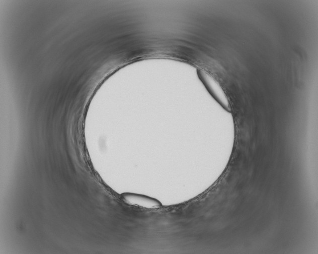 X0000112850289200910021257