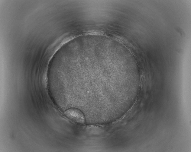 X0000112850290200910021257