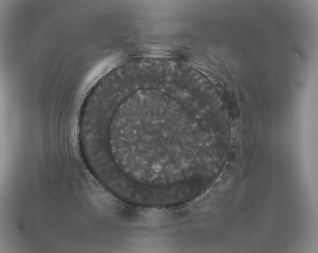 X0000112850293200910021257