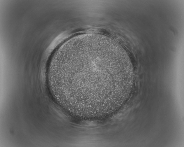 X0000112850295200910021257