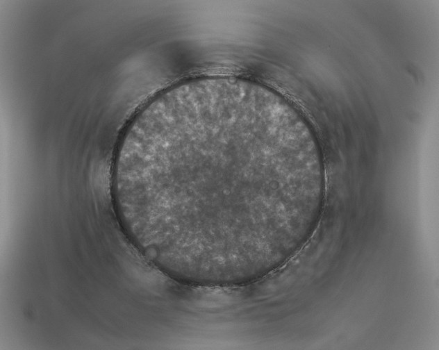 X0000112850297200910021257