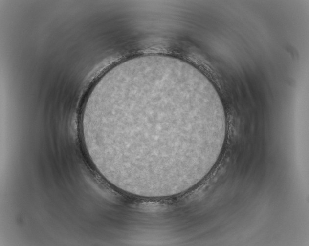 X0000112850298200910021257