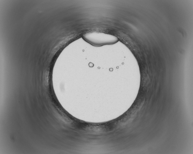 X0000112850299200910021257