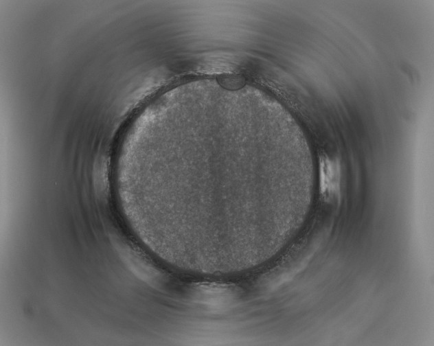 X0000112850300200910021257