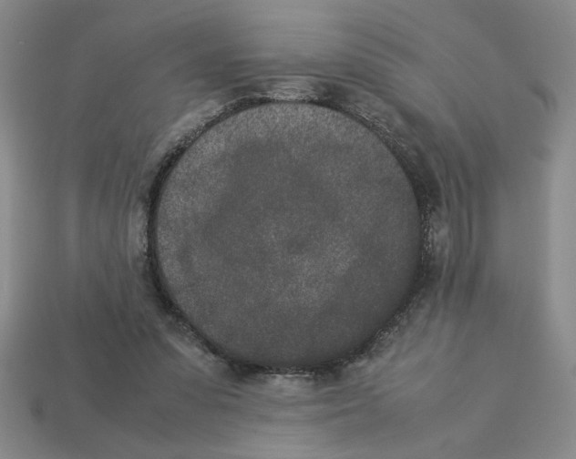 X0000112850303200910021257