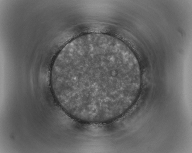 X0000112850305200910021257