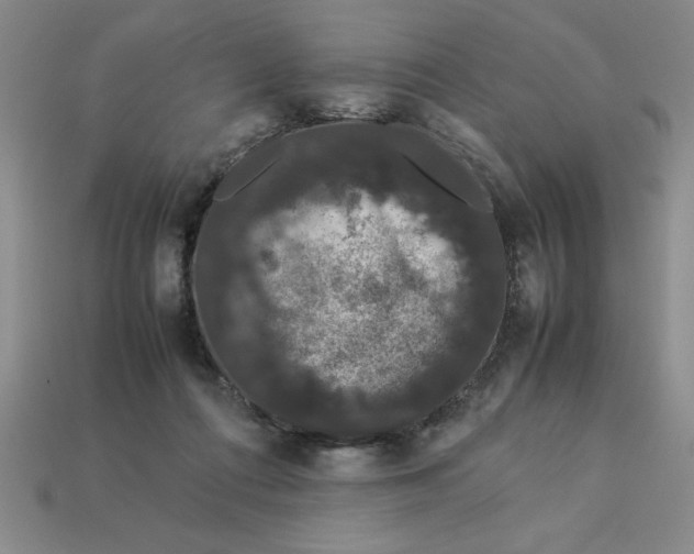 X0000112850312200910021256