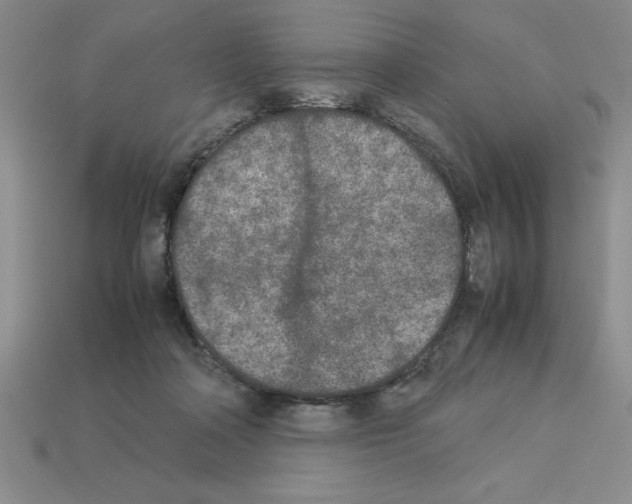 X0000112850314200910021256