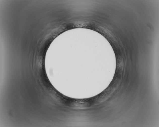 X0000112850315200910021256