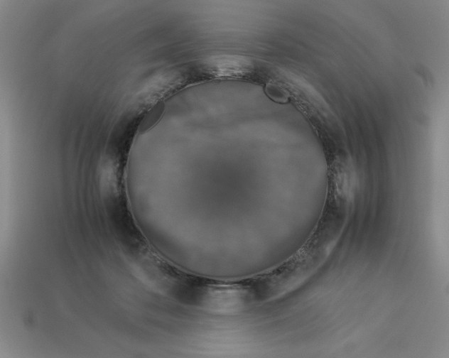 X0000112850316200910021256