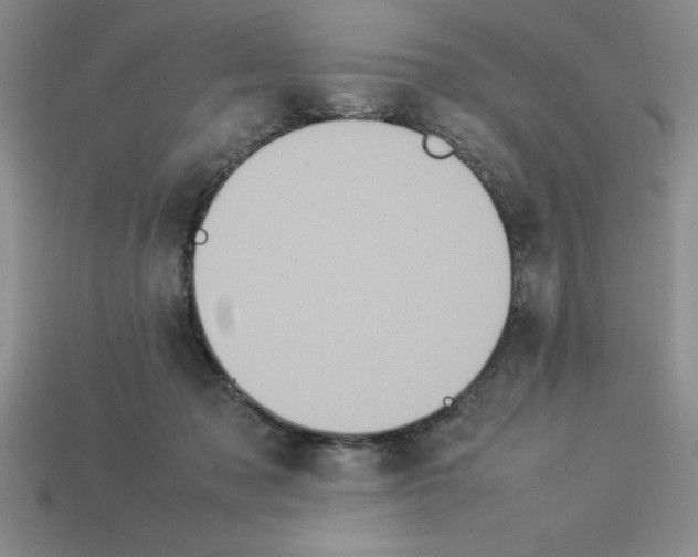 X0000112850317200910021256