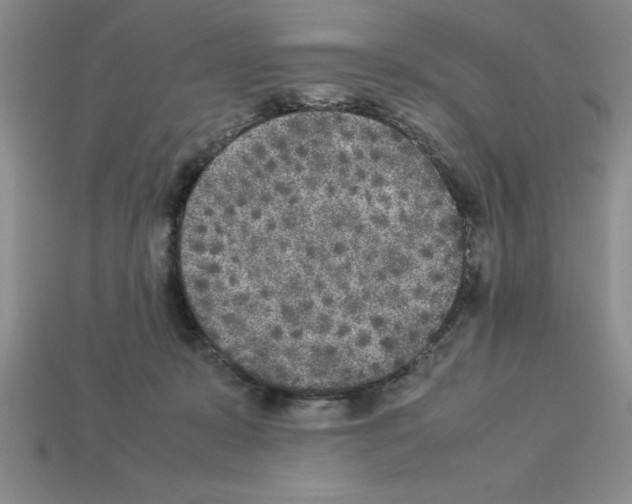 X0000112850319200910021256