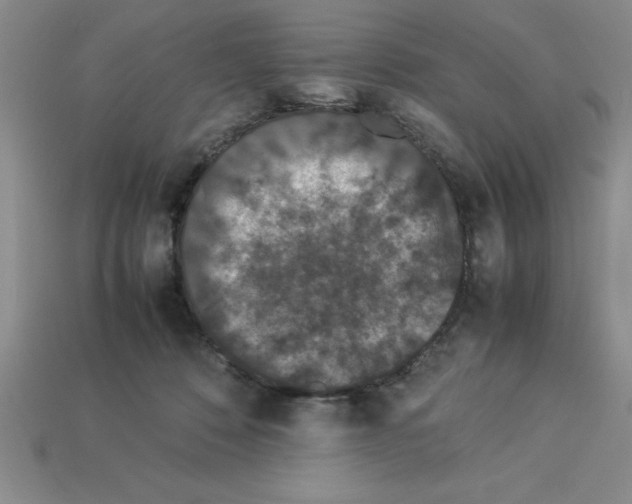 X0000112850320200910021256