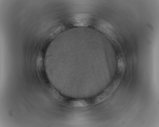 X0000112850322200910021256