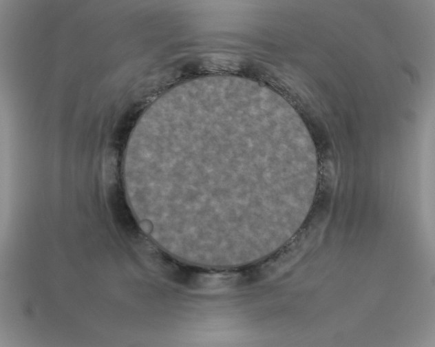 X0000112850323200910021256